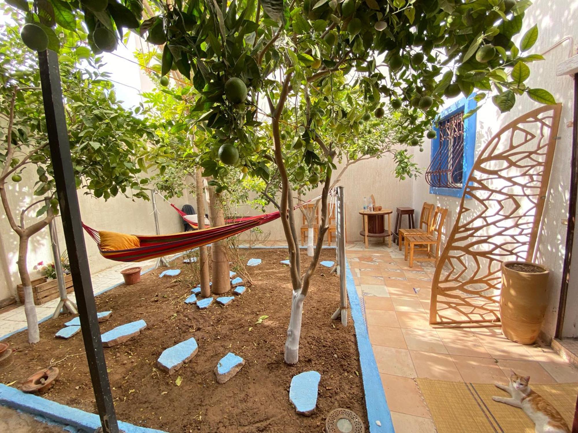 Red Carpet Surf Camp Sea, Mountain & Garden Escape Hotel Tamraght Exterior foto